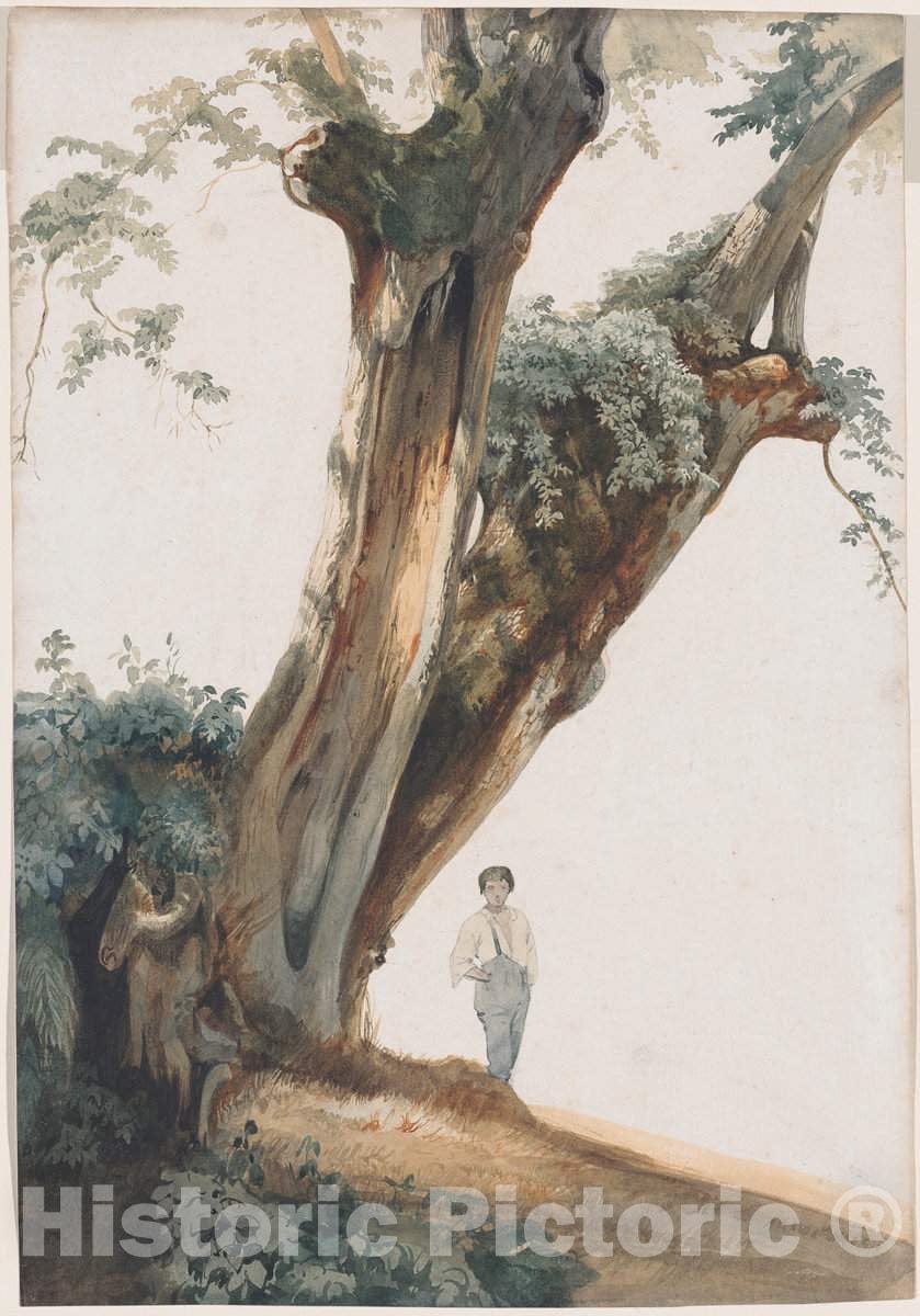 Art Print : Giovanni Costa, Ancient Trees in The Roman Campagna, 1850s - Vintage Wall Art