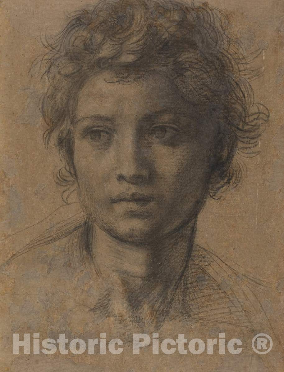 Art Print : Del Sarto, Head of Saint John The Baptist, c. 1523 - Vintage Wall Art