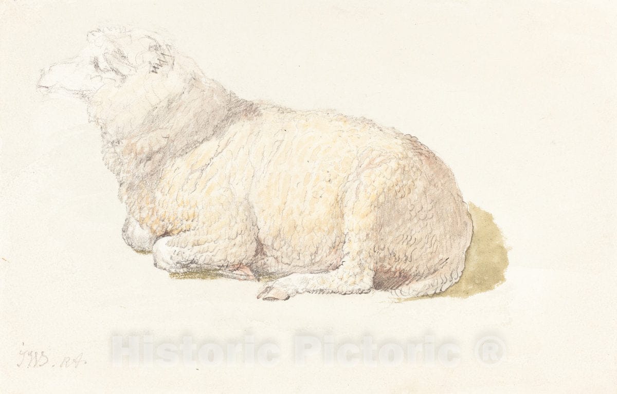 Art Print : James Ward, A Sheep Resting, c.1805 - Vintage Wall Art