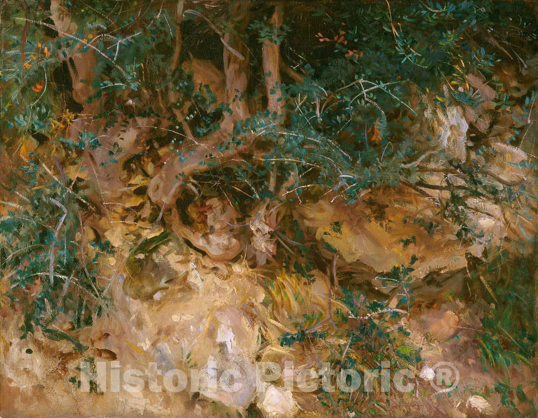 Art Print : John Singer Sargent, Valdemosa, Majorca: Thistles and Herbage on a Hillside, 1908 - Vintage Wall Art