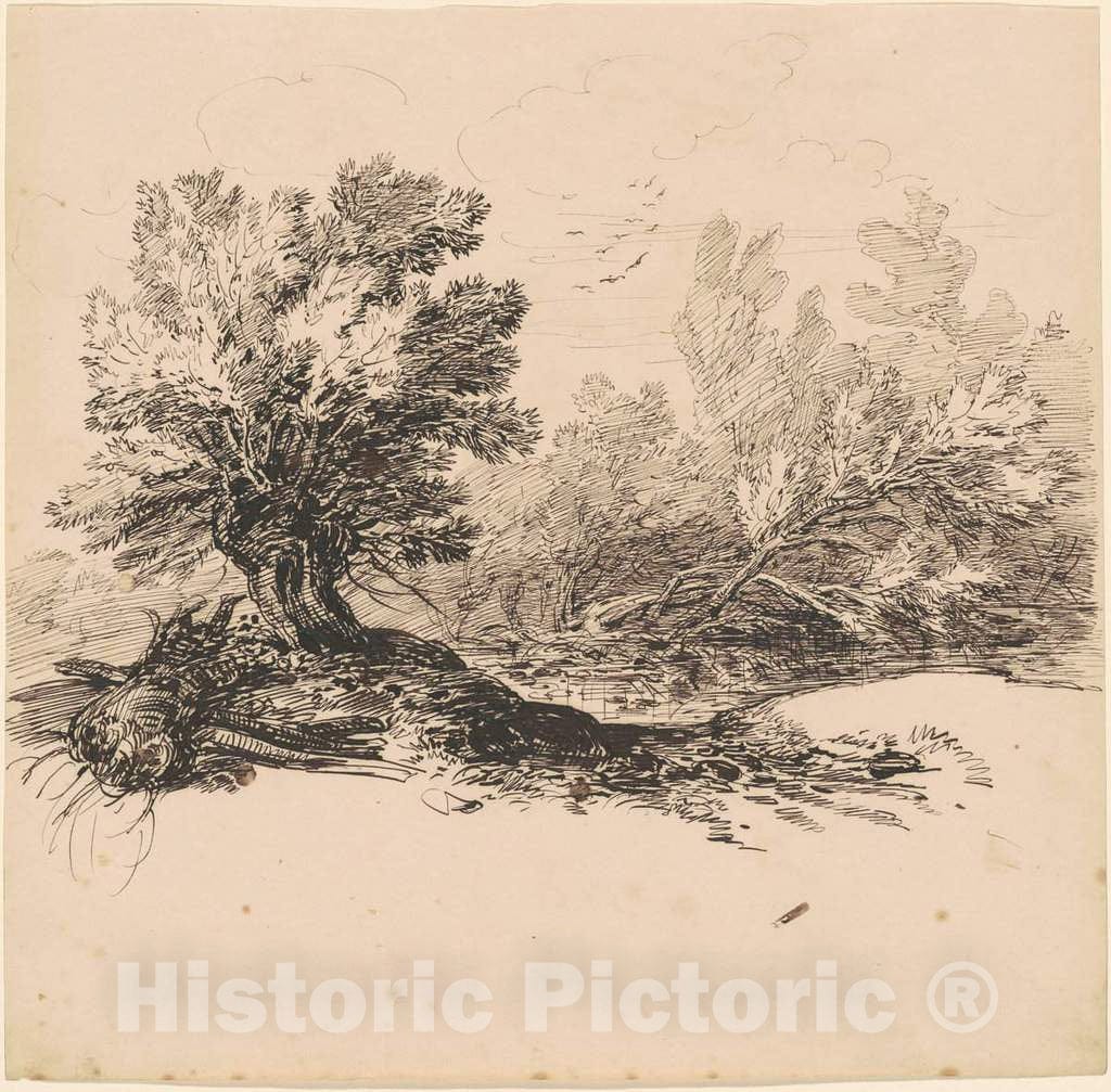 Art Print : Hippolyte Lalaisse, A Pollard Willow by a Stream, c. 1840 - Vintage Wall Art