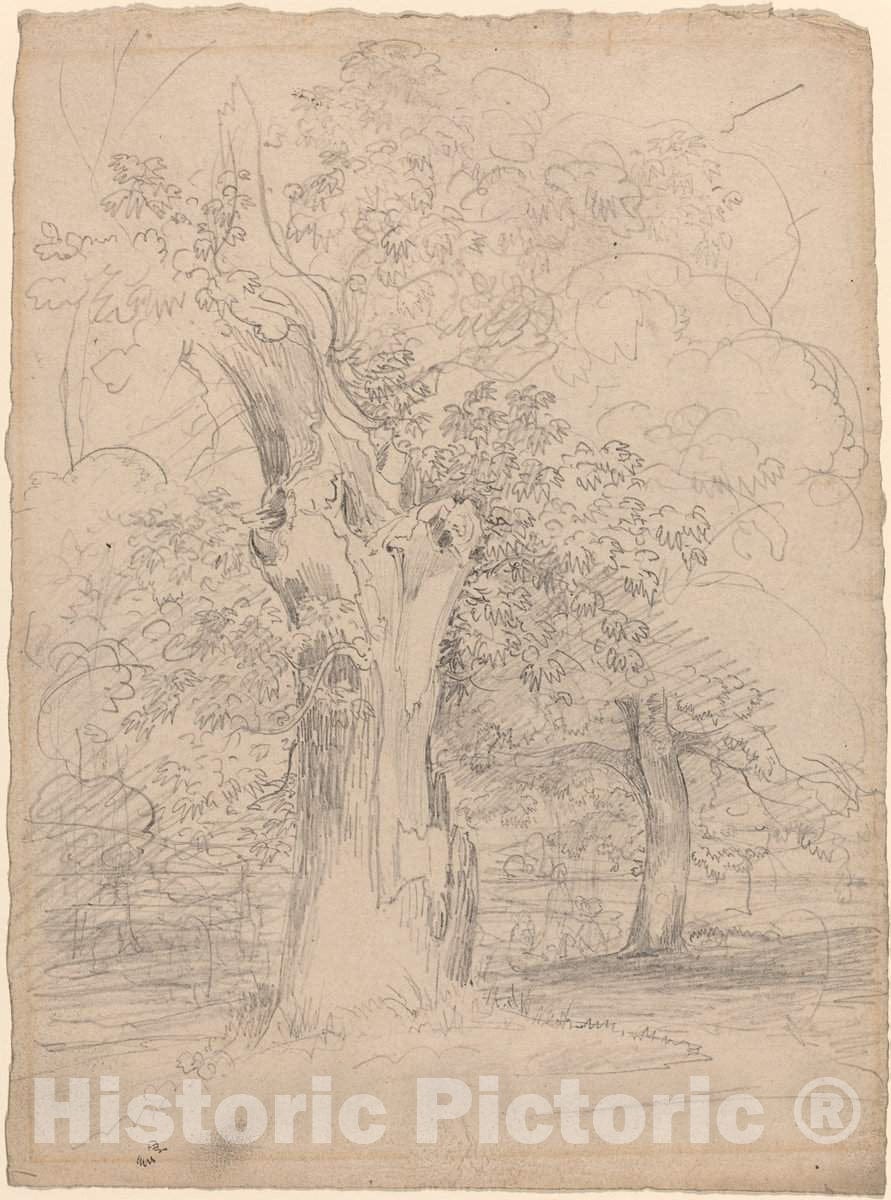 Art Print : Friedrich SalathÃ©, an Ancient Tree with Figures in a Landscape, c. 1835 - Vintage Wall Art