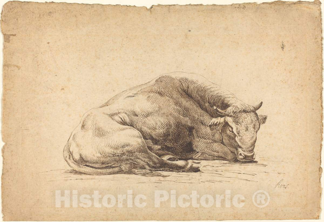 Art Print : Johann Heinrich Roos, A Bull Sleeping, c. 1672 - Vintage Wall Art