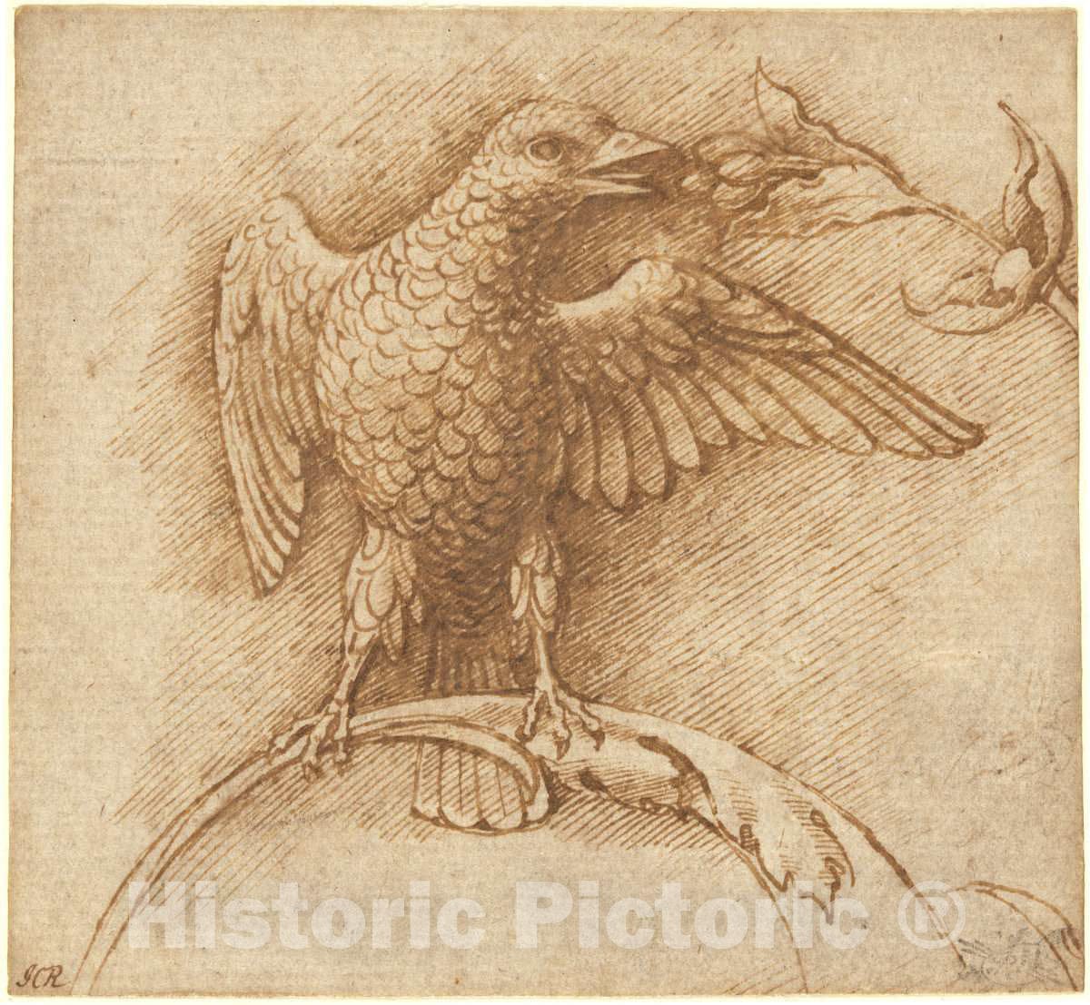 Art Print : Mantegna, A Bird Perched on a Branch with Fruit, 1460s - Vintage Wall Art