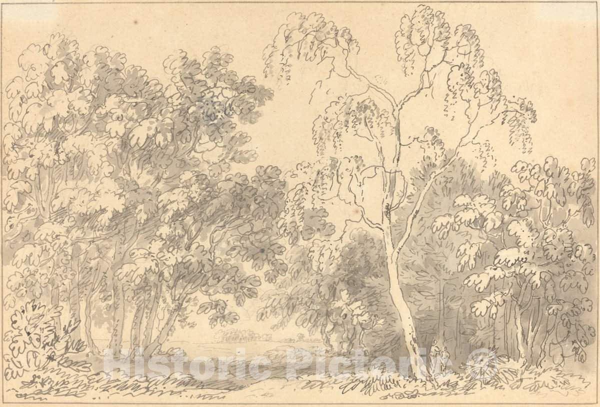 Art Print : Anthony Devis, Wooded Landscape - Vintage Wall Art