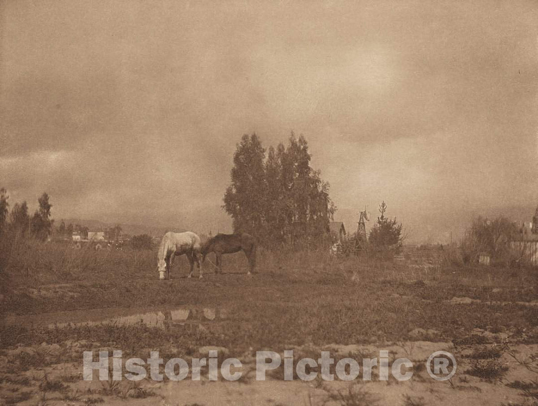 Art Print : William B. Post, Pasadena Landscape, 1899 - Vintage Wall Art