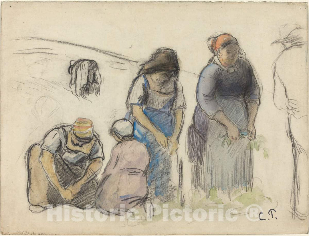 Art Print : Camille Pissarro, Pea Harvesters [Recto], c. 1880 - Vintage Wall Art