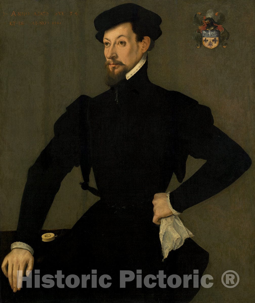 Art Print : Portrait of a Member of The Quaratesi Family, 1561 - Vintage Wall Art