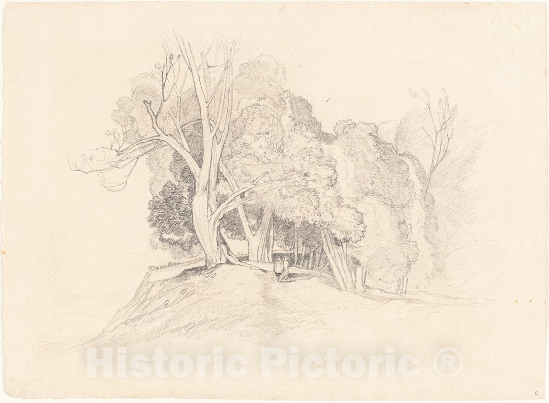 Art Print : Sell Cotman, Landscape with Trees - Vintage Wall Art