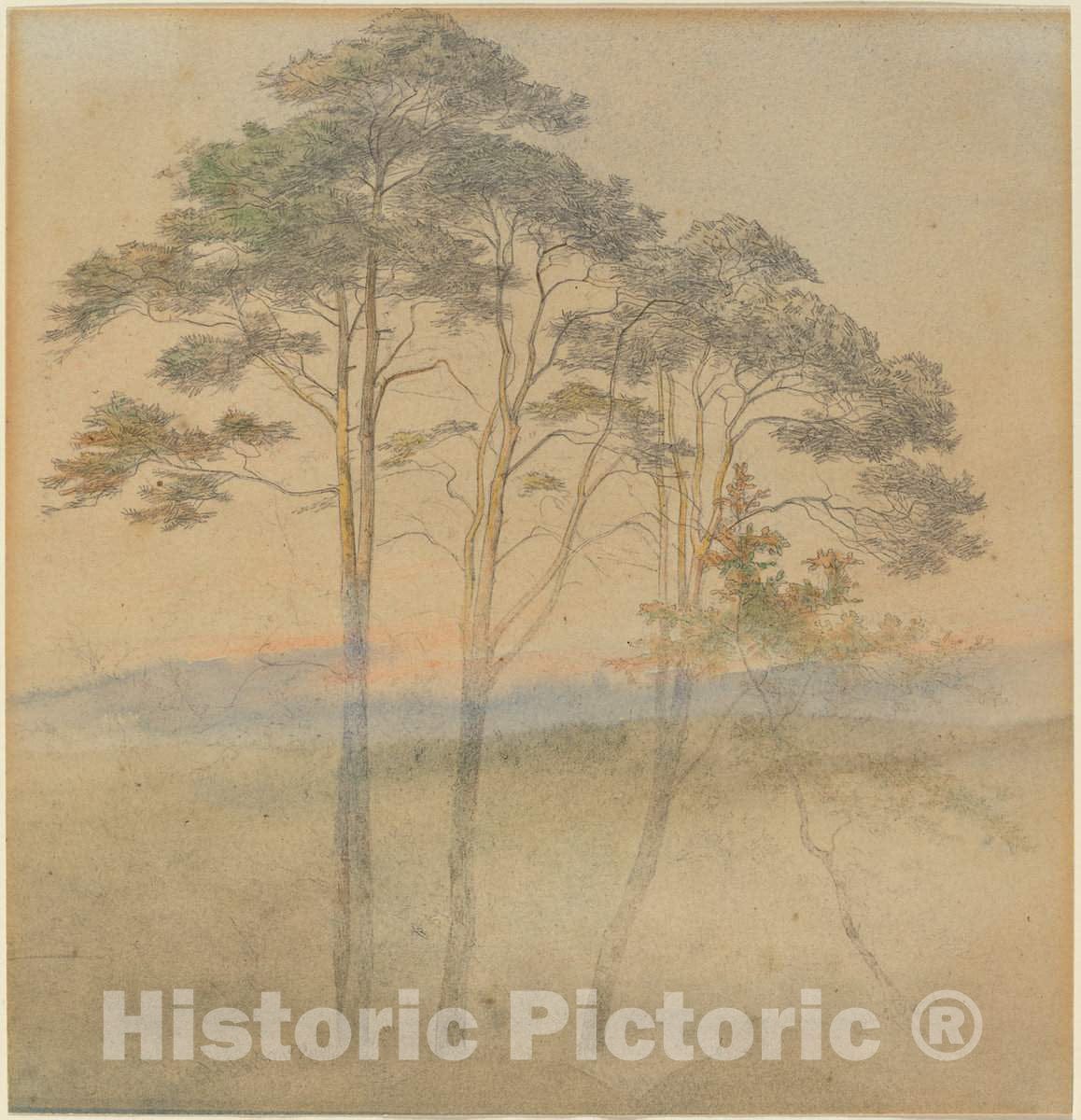 Art Print : Ernst Oehme, Pines in a Morning Fog, 1830s - Vintage Wall Art