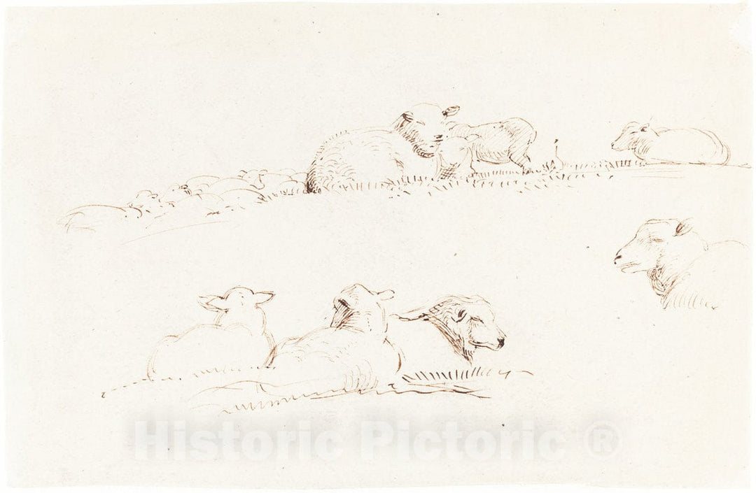 Art Print : George Richmond, Studies of Sheep in Pasture, c.1838 - Vintage Wall Art