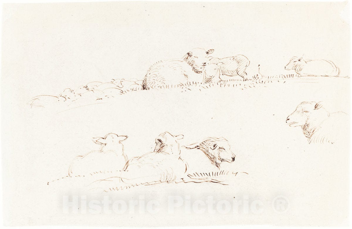 Art Print : George Richmond, Studies of Sheep in Pasture, c.1838 - Vintage Wall Art