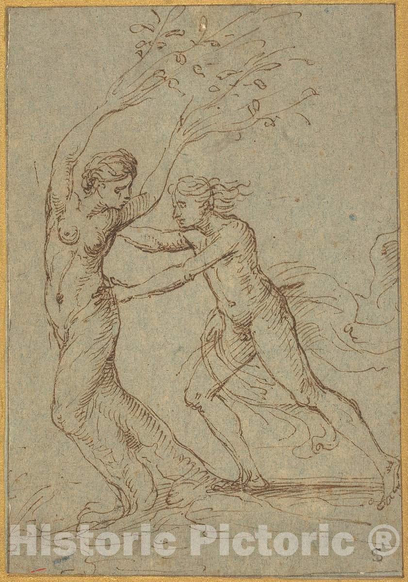 Art Print : Giulio Romano, Apollo and Daphne - Vintage Wall Art