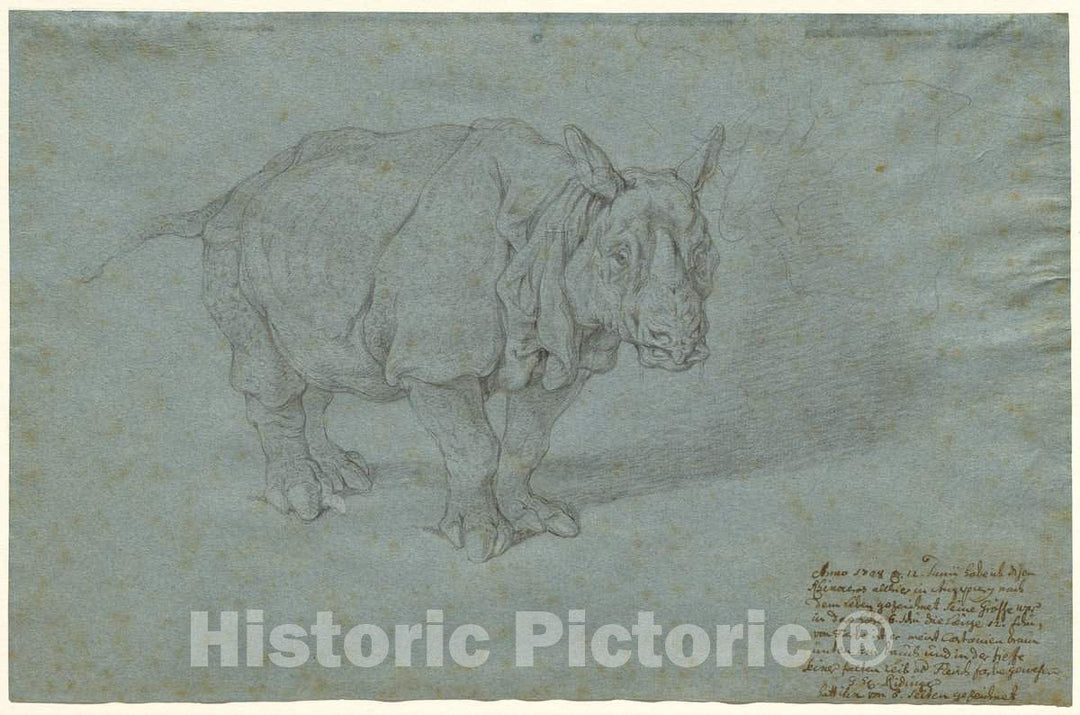 Art Print : Johann Elias Ridinger, The Rhinoceros Miss Clara, 1748 - Vintage Wall Art