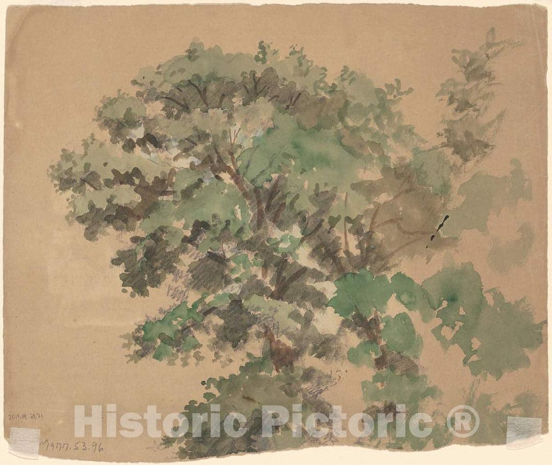 Art Print : Enoch Wood Perry, Tree [Verso], c. 1870-1900 - Vintage Wall Art