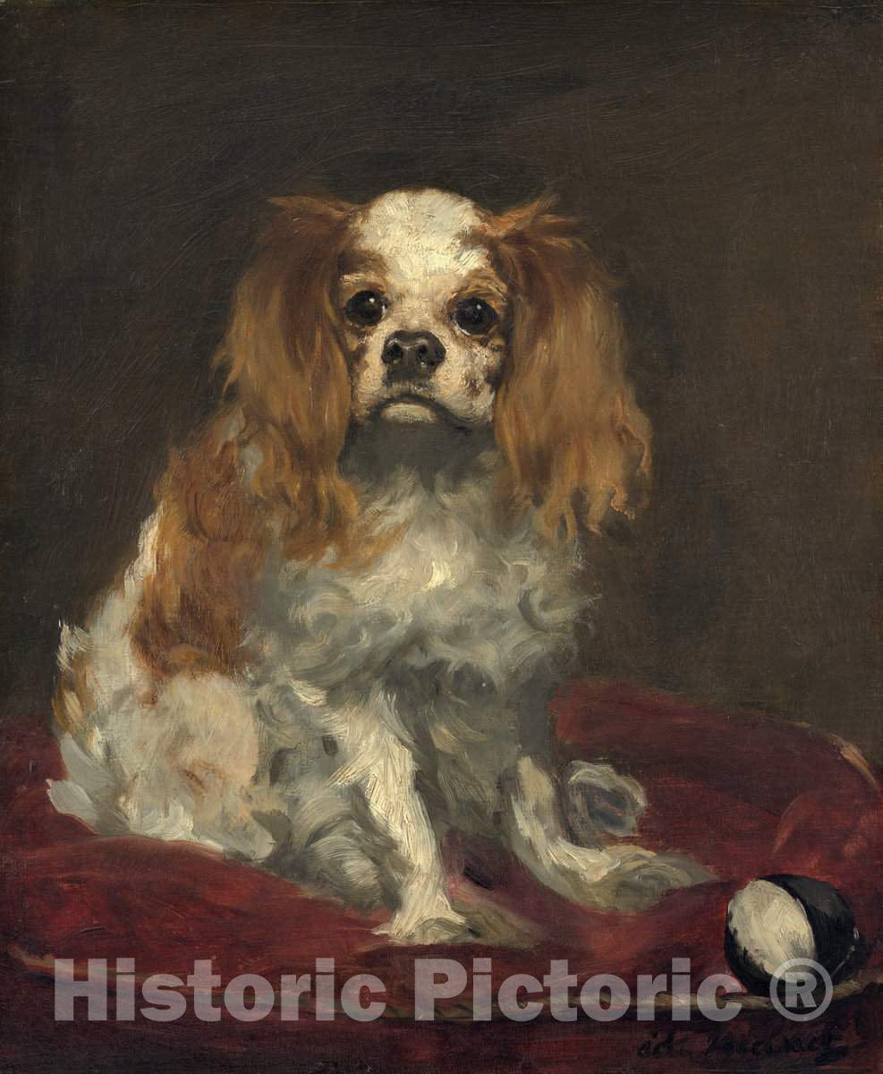 Art Print : Edouard Manet, A King Charles Spaniel, c. 1866 - Vintage Wall Art