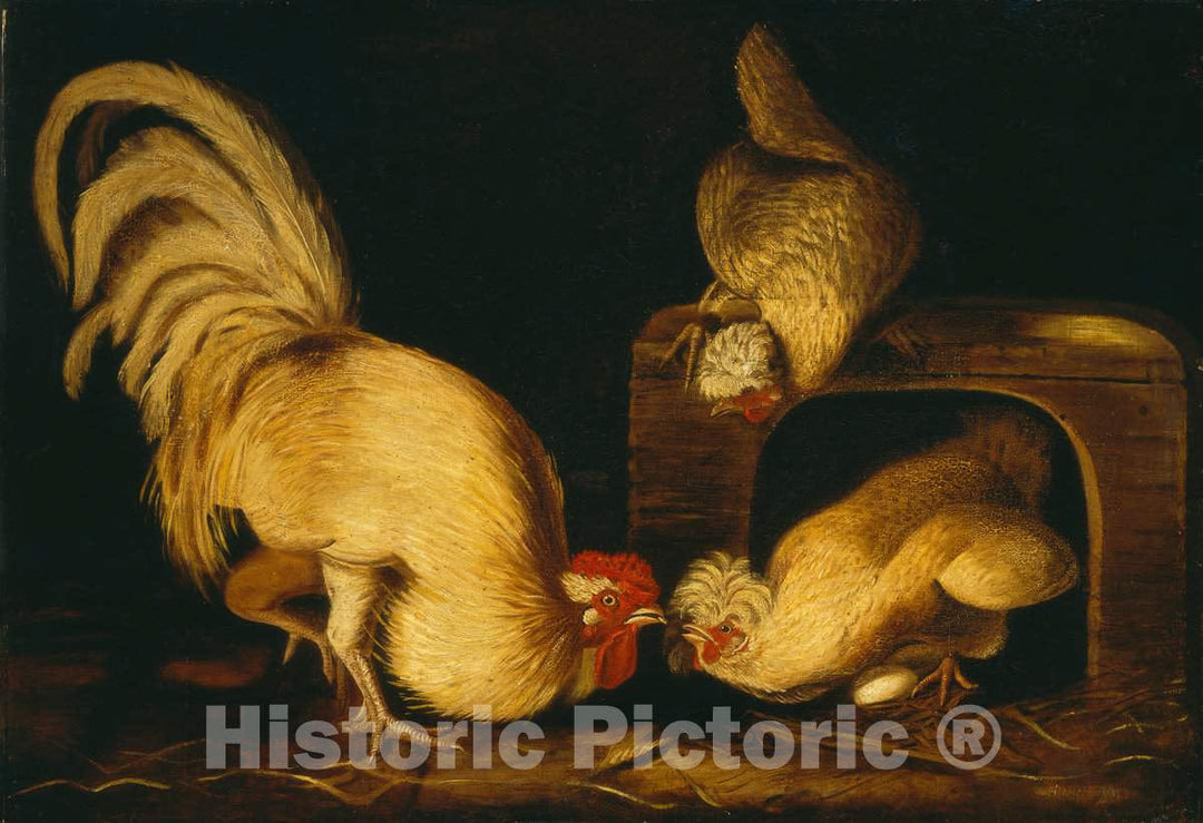 Art Print : John James Audubon, Farmyard Fowls, c. 1827 - Vintage Wall Art