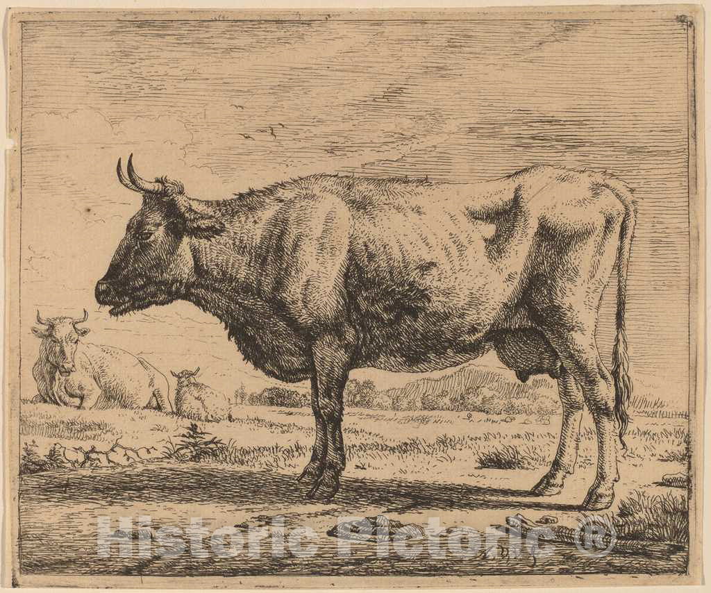 Art Print : Adriaen Van de Velde, Two Cows and a Sheep, c.1658 - Vintage Wall Art