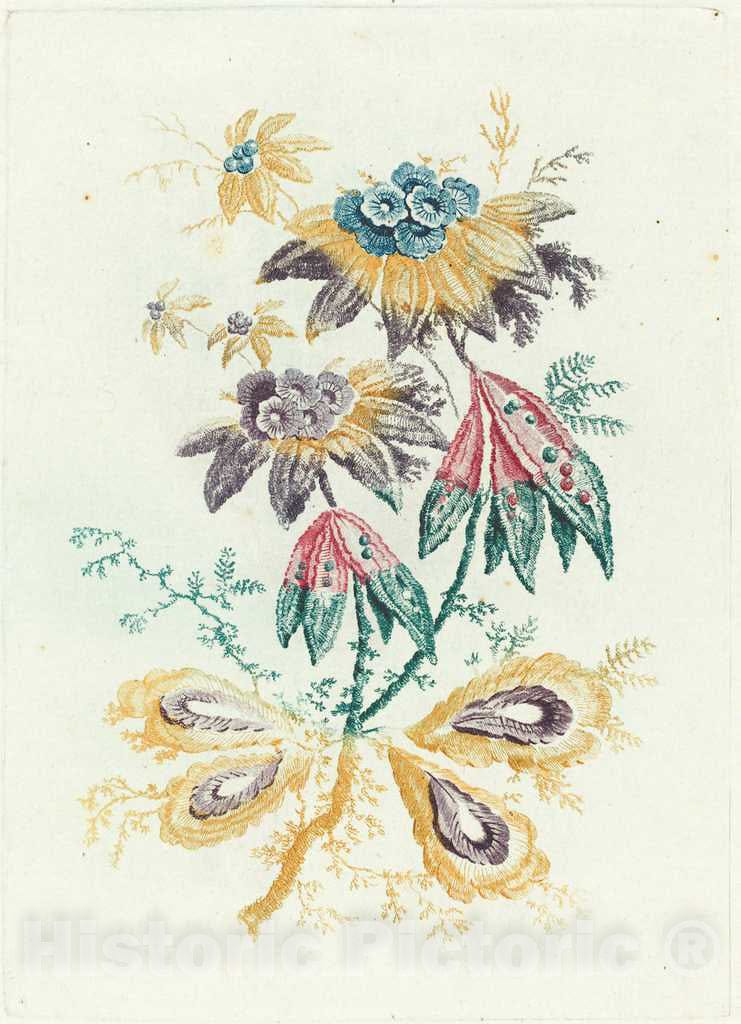 Art Print : Allen After Pillement, Fantastic Flowers with Peapod Leaves, 1795 - Vintage Wall Art