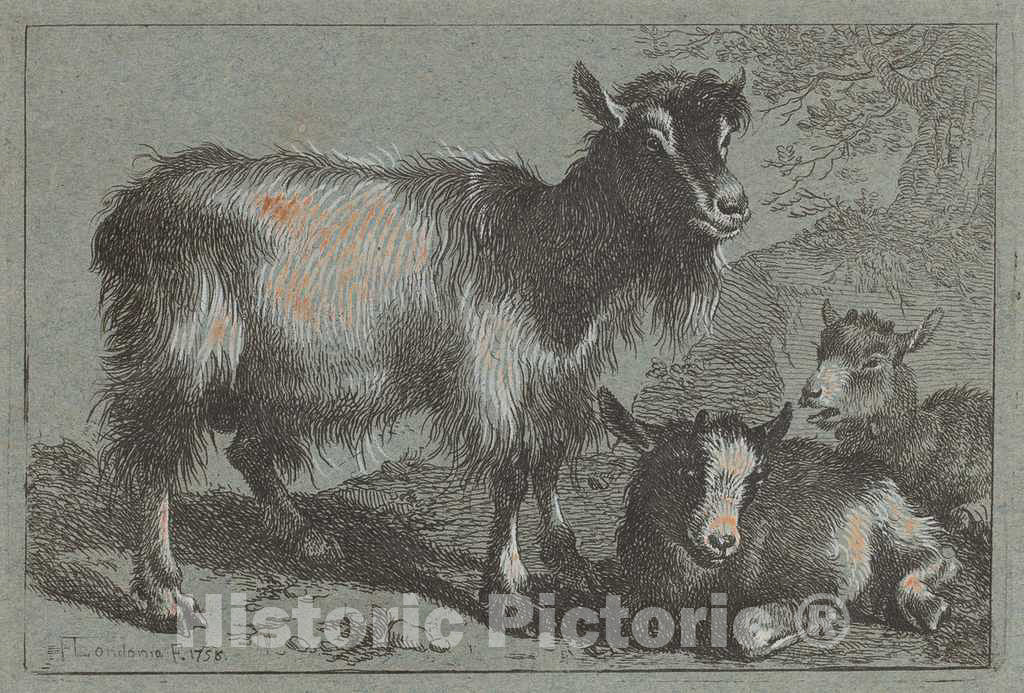 Art Print : Francesco Londonio, Goat and Two Kids, 1758 - Vintage Wall Art