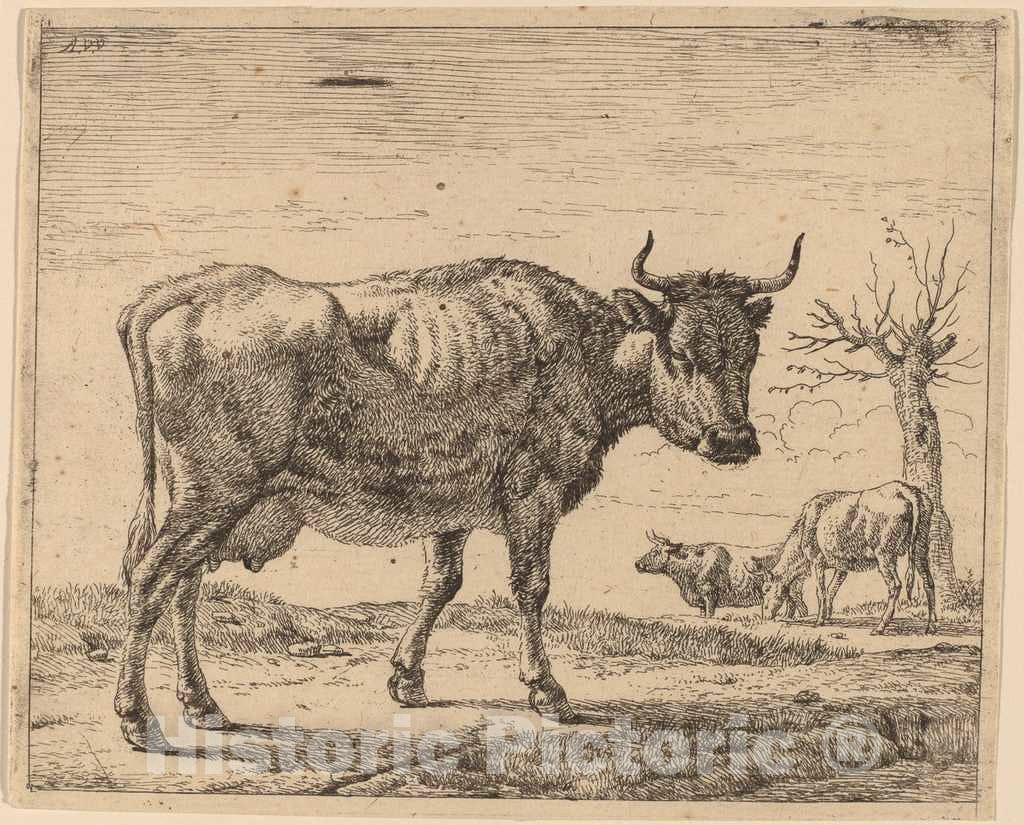 Art Print : Adriaen Van de Velde, Three Cows, c.1658 - Vintage Wall Art