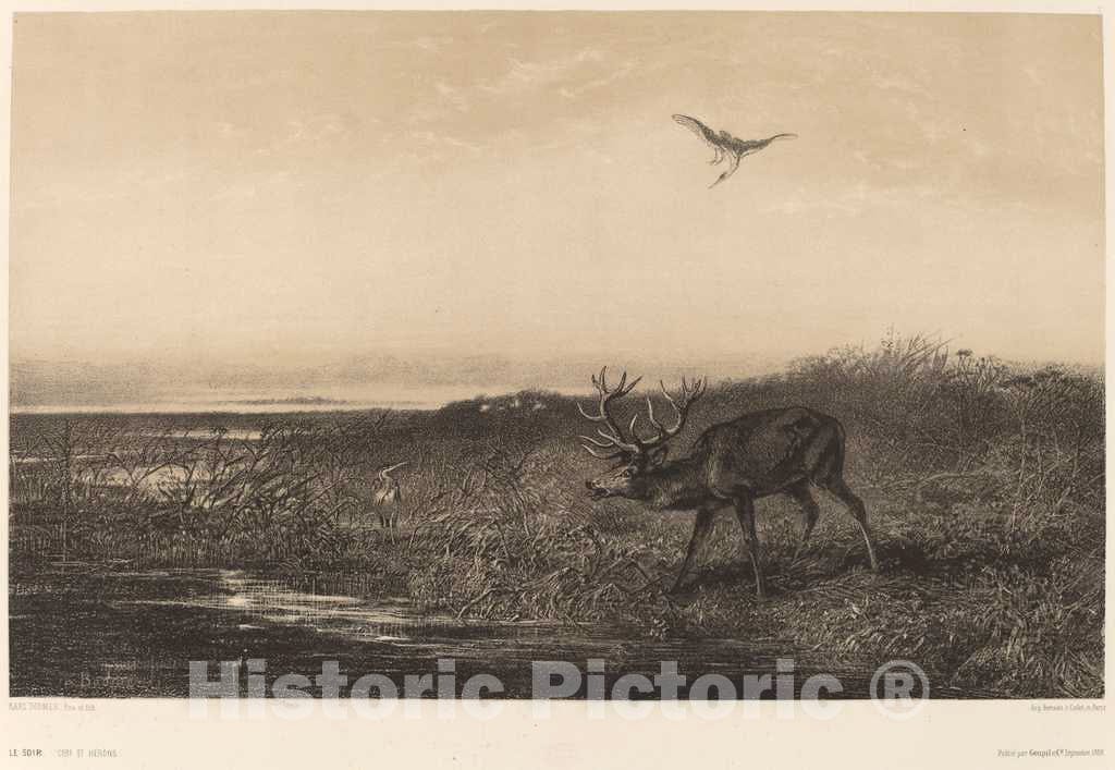 Art Print : Karl Bodmer, Le Soir. Cerf et Herons - Vintage Wall Art