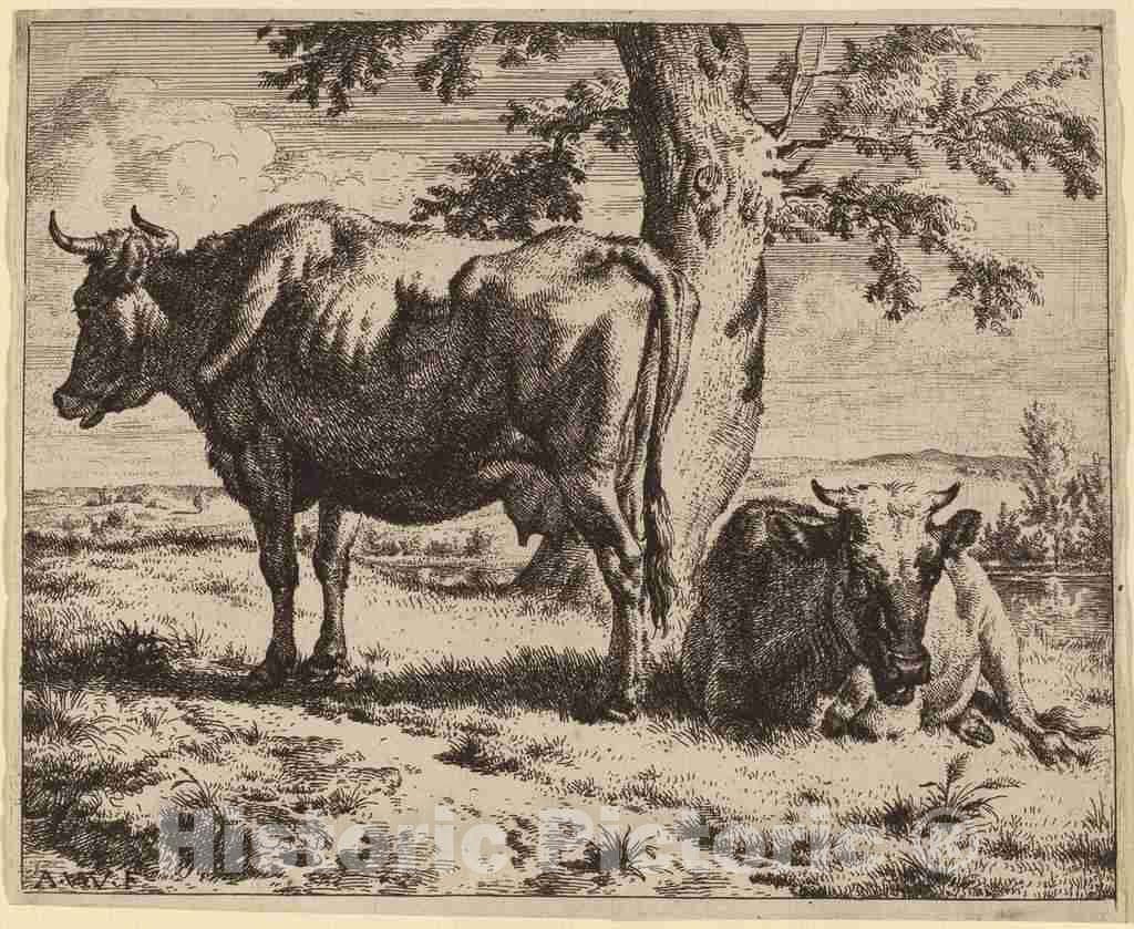 Art Print : Adriaen Van de Velde, Two Cows Under a Tree, c. 1670 - Vintage Wall Art