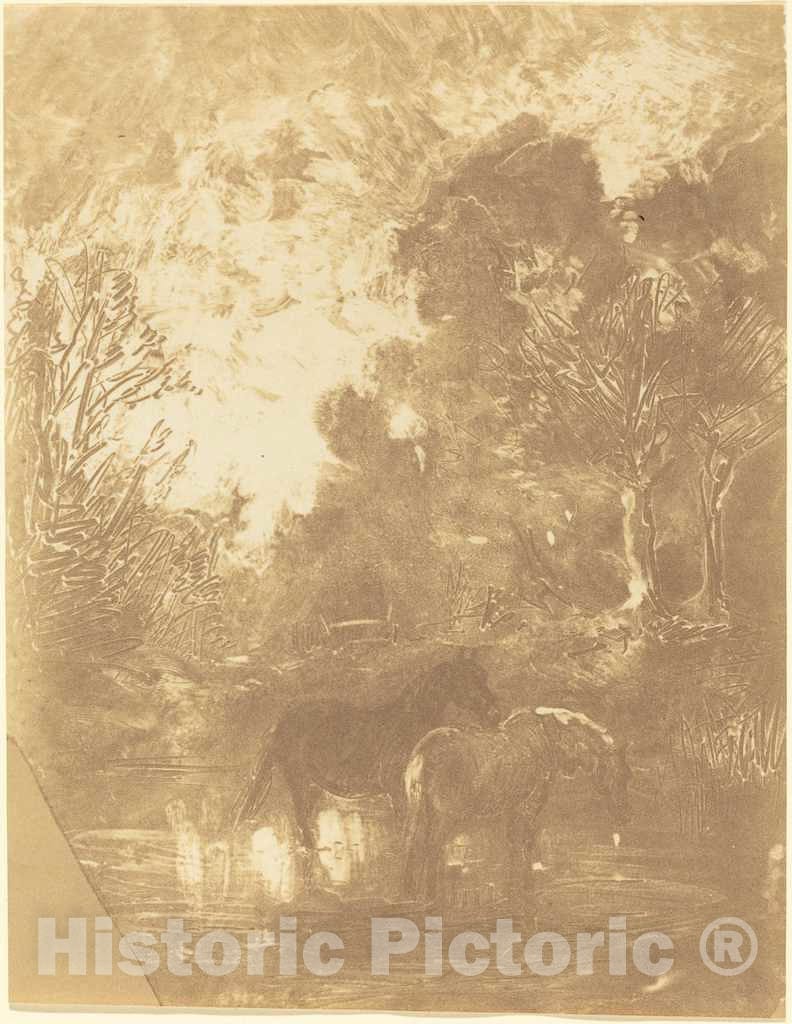 Art Print : Charles-FranÃ§ois Daubigny, Two Horses at a Watering Place (Les Deux Chevaux a l'abreuvoir), c.1861 - Vintage Wall Art