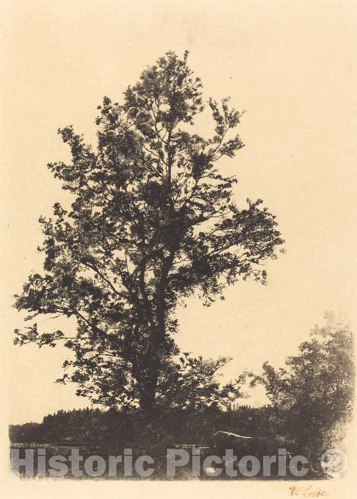 Art Print : Wilhelm Leibl, The Large Tree, c.1875 - Vintage Wall Art