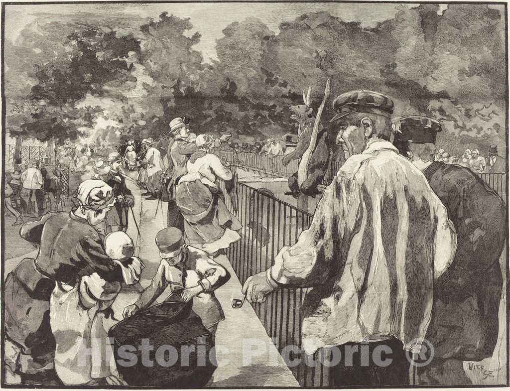 Art Print : Daniel Vierge, Au Jardin des Plantes, 1889 - Vintage Wall Art