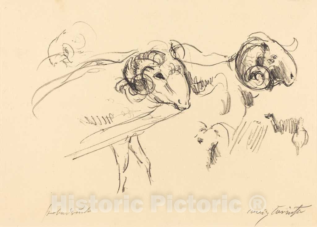 Art Print : Lovis Corinth, Rams (SchafbÃ¶cke), 1912 - Vintage Wall Art