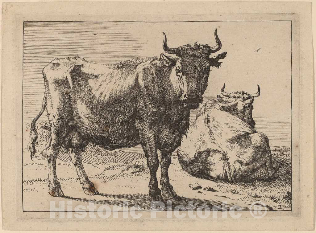 Art Print : Paulus Potter, A Cow Standing and Another Lying Down, 1650 - Vintage Wall Art