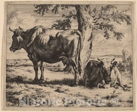 Art Print : Adriaen Van de Velde, Two Cows Under a Tree, c. 1670 - Vintage Wall Art