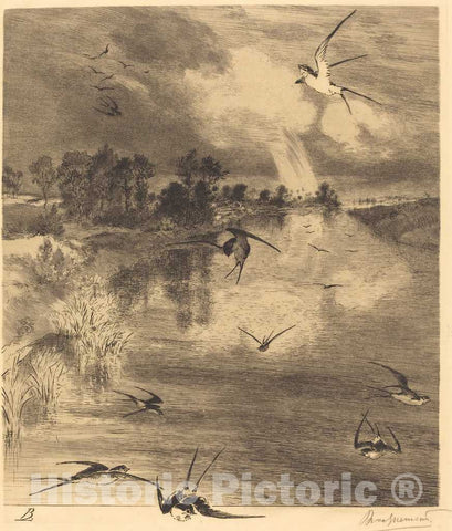 Art Print : FÃ©lix Bracquemond, Les Hirondelles (The Swallows), c. 1884 - Vintage Wall Art