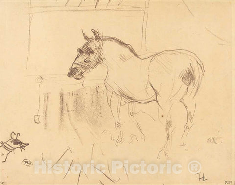 Art Print : Henri de Toulouse-Lautrec, The Small Pony from Calmese (Le Petit poney de CalmÃ¨se), 1899 - Vintage Wall Art