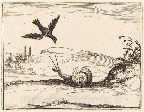 Art Print : Jacques Callot, Crow and Snail, 1628 - Vintage Wall Art