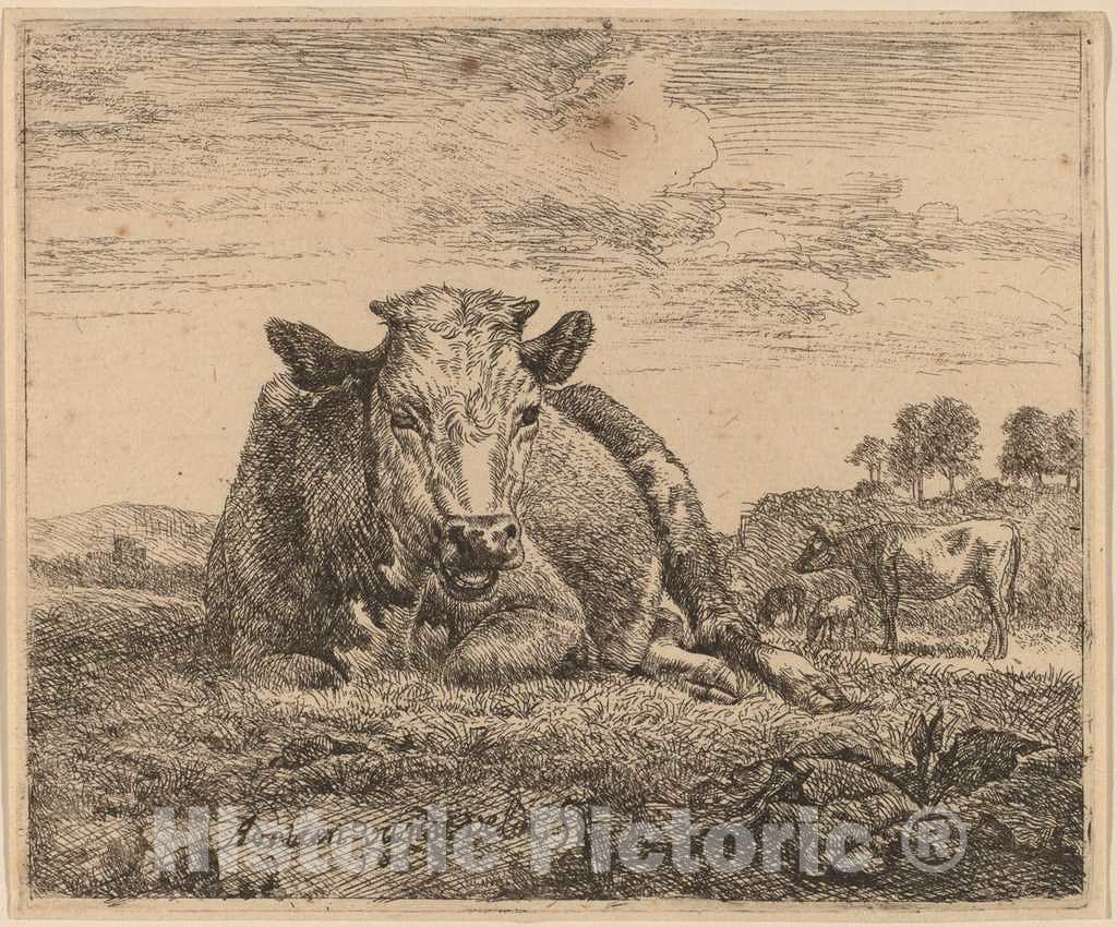 Art Print : Adriaen Van de Velde, Recumbent Cow, 1657 - Vintage Wall Art