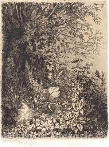 Art Print : EugÃ¨ne BlÃ©ry, La bardane au saule (Burdock with Willow), 1849 - Vintage Wall Art