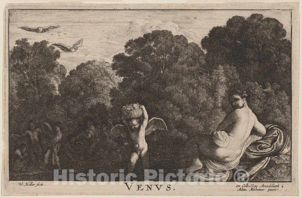 Art Print : Hollar After Elsheimer, Venus - Vintage Wall Art