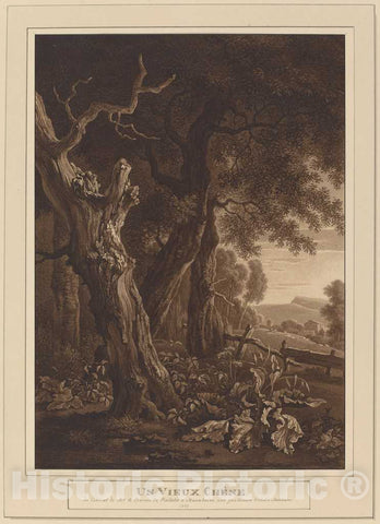 Art Print : Kobell, After Jan Wijnants, Ancient Oaks in a Landscape, 1792 - Vintage Wall Art