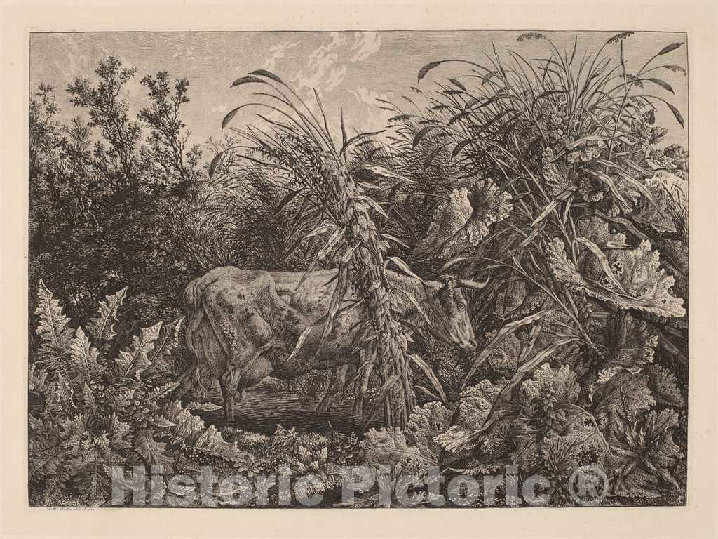 Art Print : Carl Wilhelm Kolbe, The Cow in The Swamp, c.1802 - Vintage Wall Art