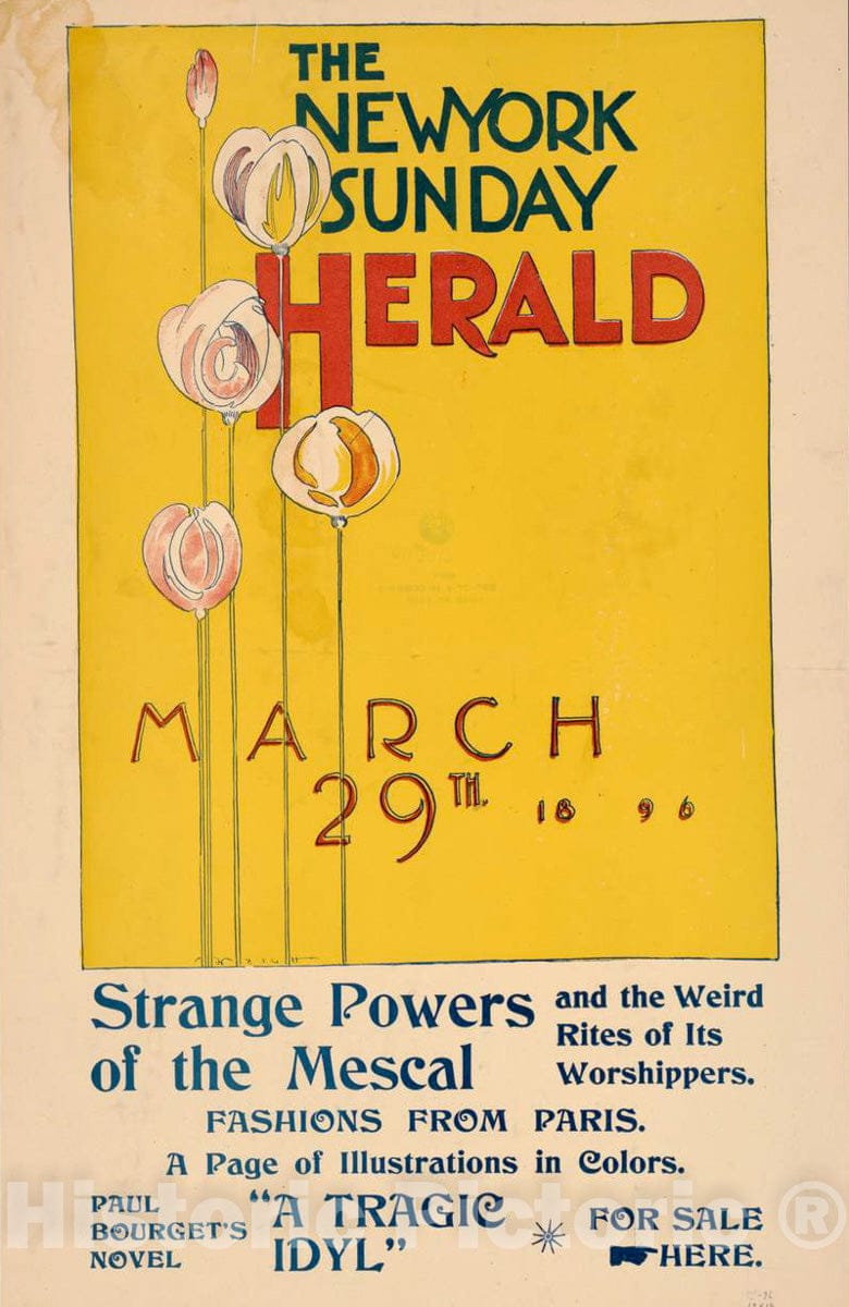 Vintage Poster -  The New York Sunday Herald, March 29th 1896, Historic Wall Art