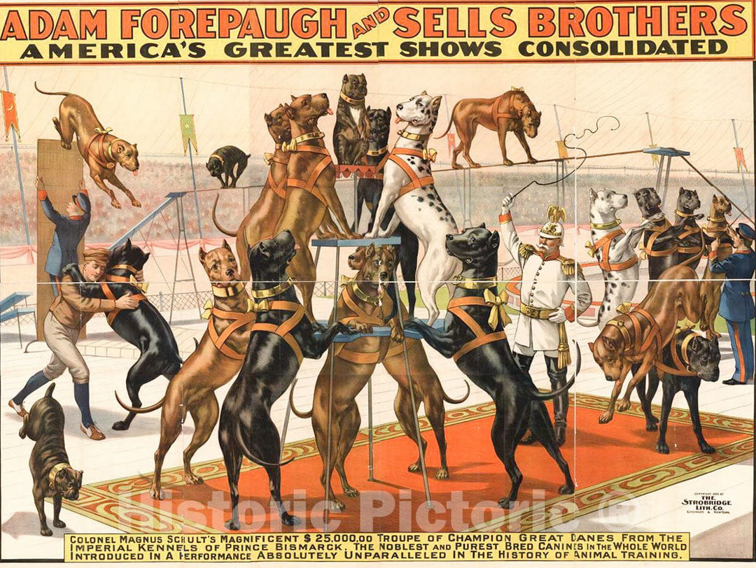 Vintage Poster -  Adam Forepaugh and Sells Brothers America's Greatest Shows Consolidated - Colonel Magnus Schult's Magnificent $25,000,00, Historic Wall Art