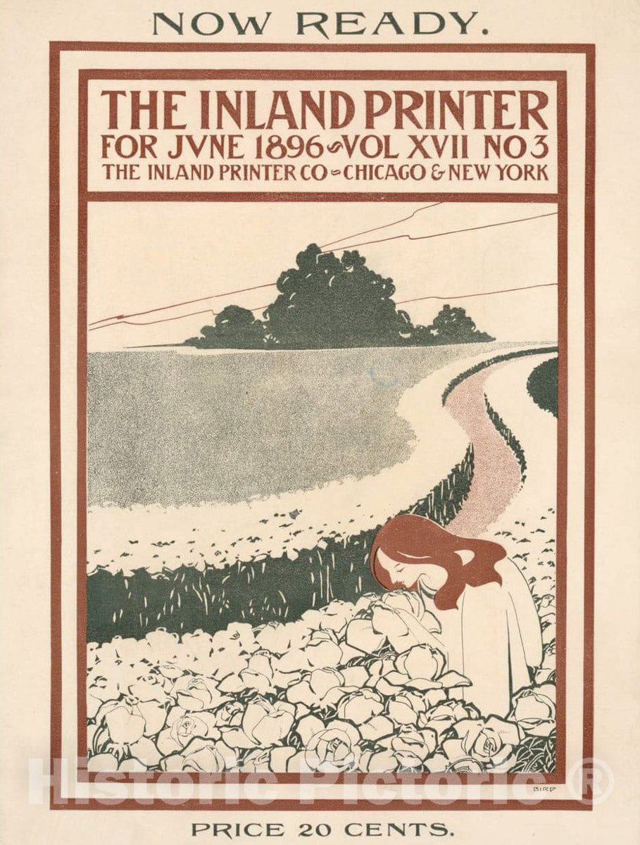 Vintage Poster -  The Inland Printer for June 1896, Historic Wall Art