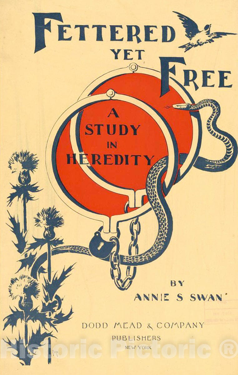 Vintage Poster -  Fettered Yet Free, a Study in Heredity by Annie S. Swan -  HURD., Historic Wall Art