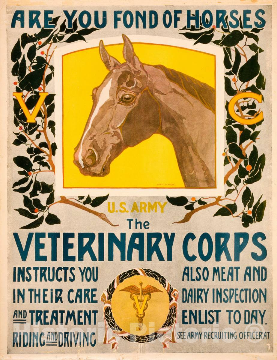 Vintage Poster -  are You Fond of Horses -  U.S. Army -  The Veterinary Corps instructs You in Their Care and Treatment, Riding and Driving -  Horst Schreck., Historic Wall Art