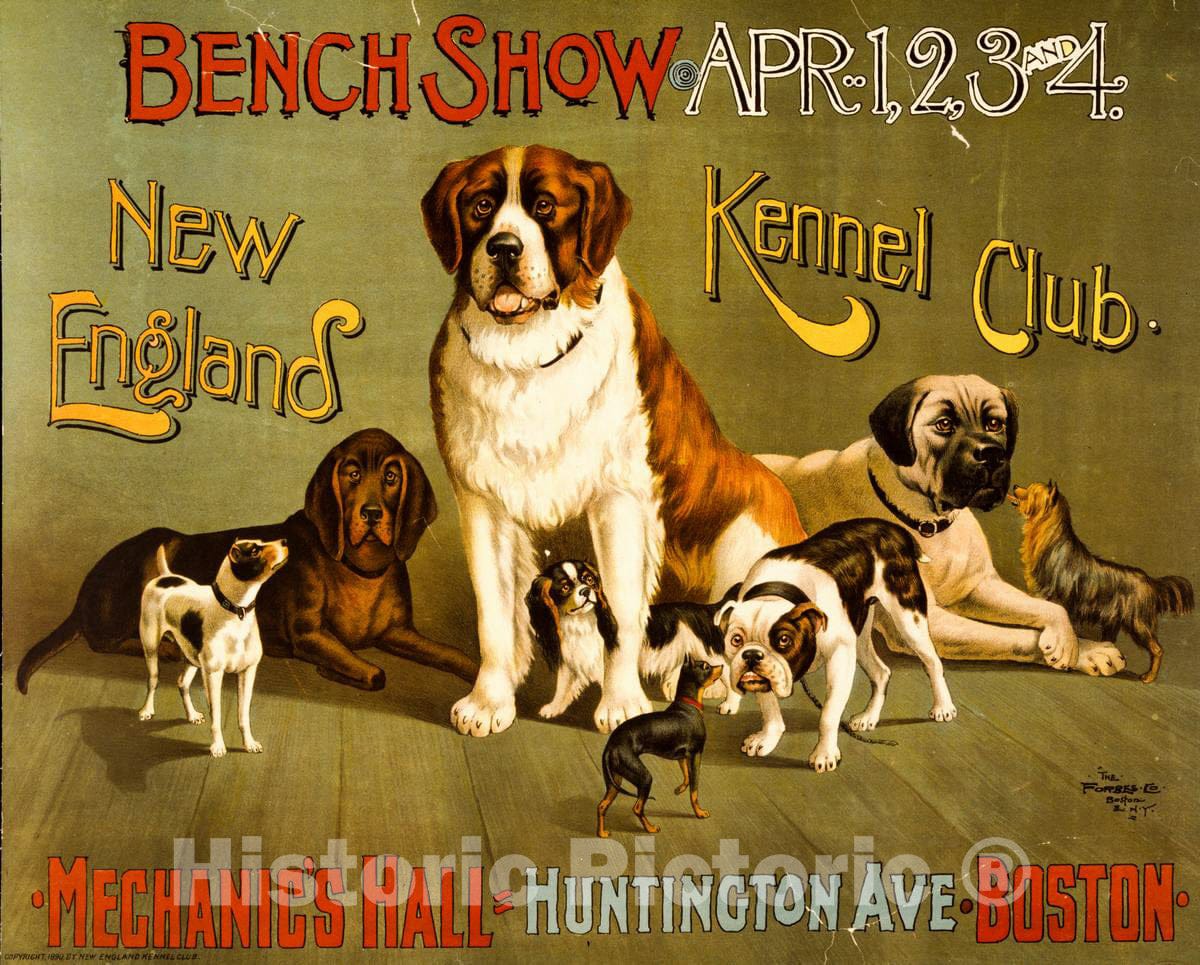 Vintage Poster - Bench Show. New England Kennel Club, Historic Wall Art