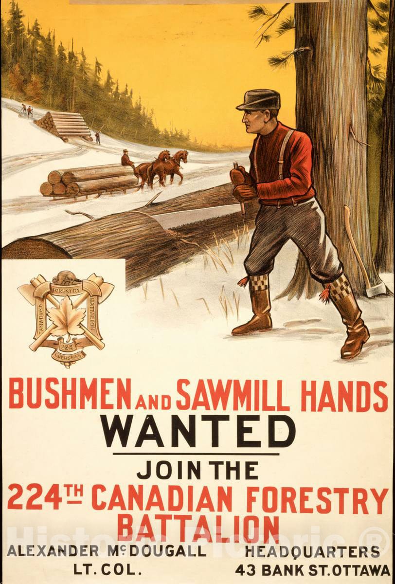 Vintage Poster -  Bushmen and Sawmill Hands Wanted. Join The 224th Canadian Forestry Battalion, Historic Wall Art