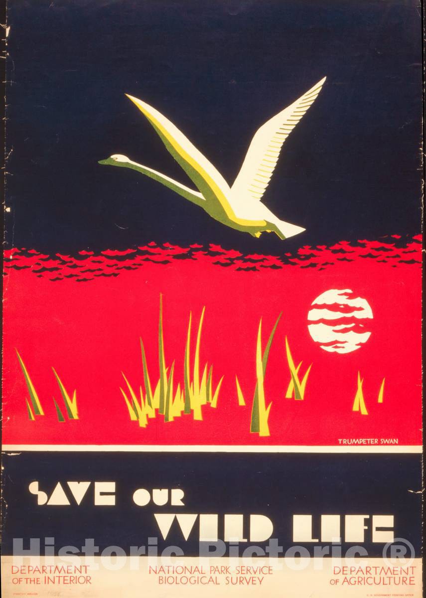 Vintage Poster -  Save Our Wild Life -  Dorothy Waugh., Historic Wall Art