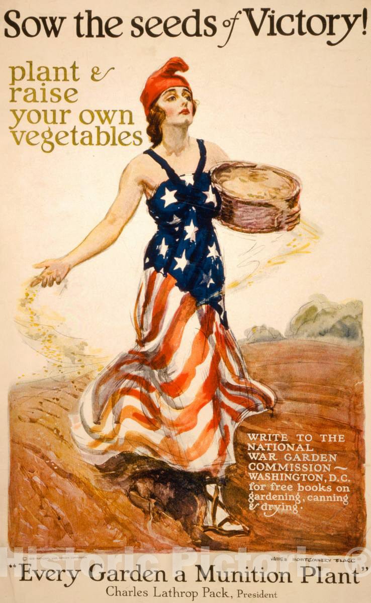 Vintage Poster -  Sow The Seeds of Victory! Plant & Raise Your own Vegetables -  James Montgomery Flagg., Historic Wall Art